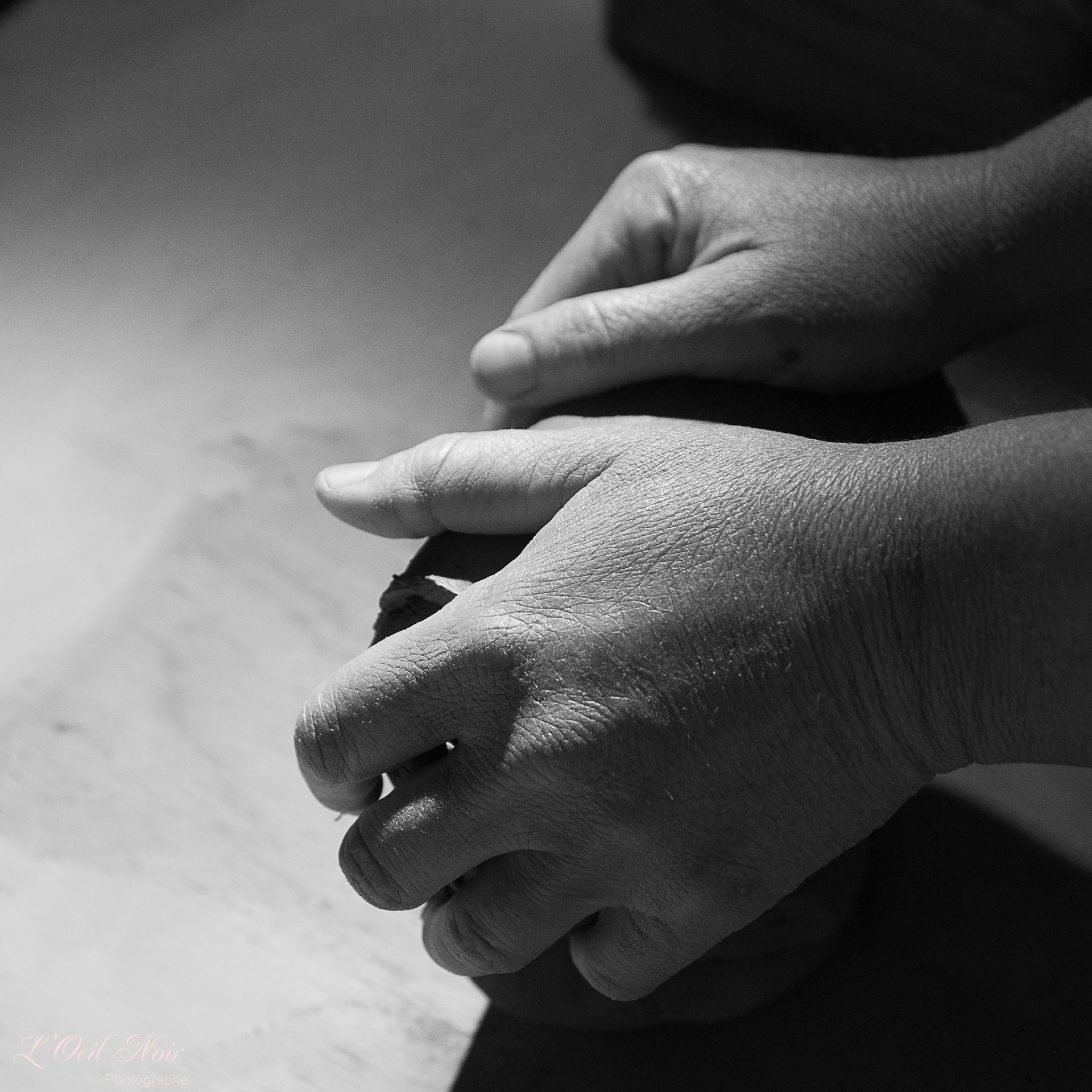 L' Oeil Noir Photographe